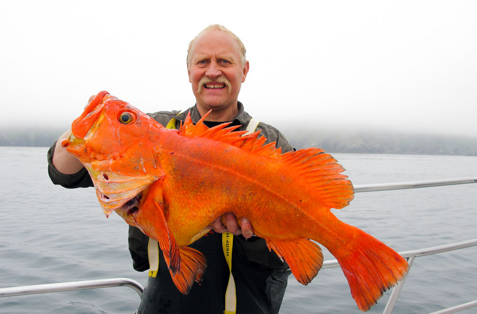 Rockfish  Alaska Fishing - Alaska Outdoors Supersite